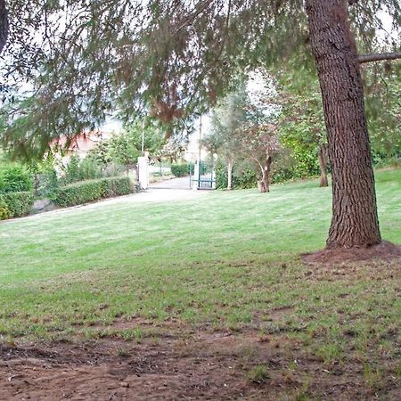 Oasis Olympia Apartments Smila Екстер'єр фото