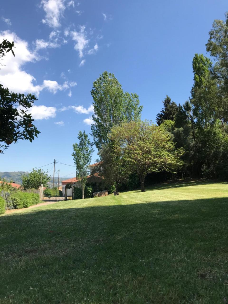 Oasis Olympia Apartments Smila Екстер'єр фото